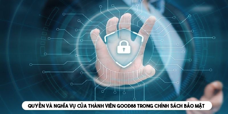 Nghĩa vụ và trách nhiệm của hội viên tại nhà cái theo chính sách