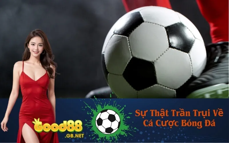 Sự Thật Trần Trụi Về Cá Cược Bóng Đá